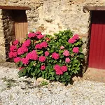 Le Clos De La Viniere Jard-sur-Mer
