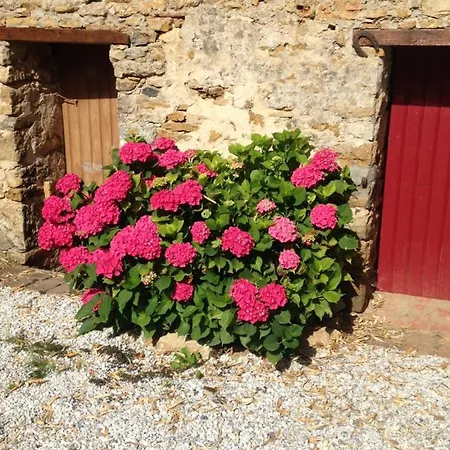 Le Clos De La Viniere Jard-sur-Mer
