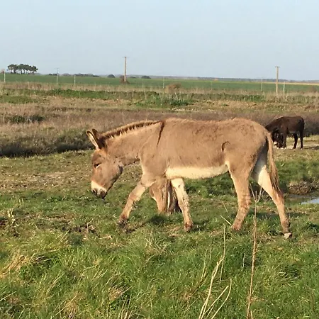 Le Clos De La Viniere Gasthof Jard-sur-Mer