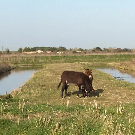 Le Clos De La Viniere Casa de hóspedes Jard-sur-Mer