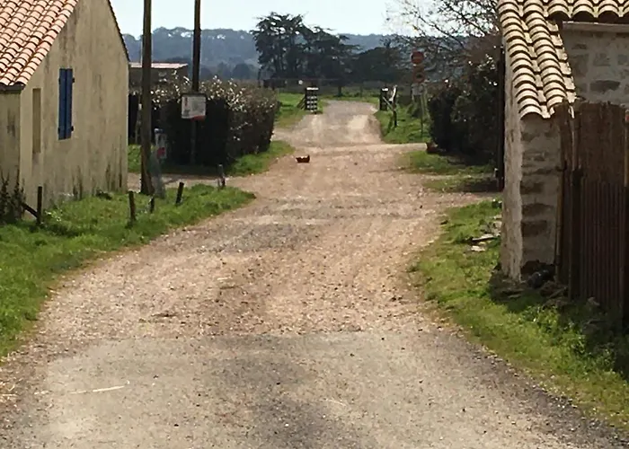 Le Clos De La Viniere Maison d'hôtes